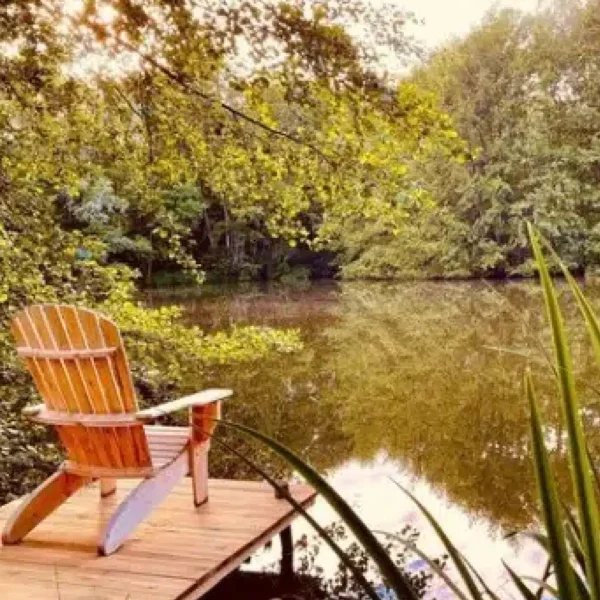 B404A adirondack deluxe cèdre et rondins en bord de lac