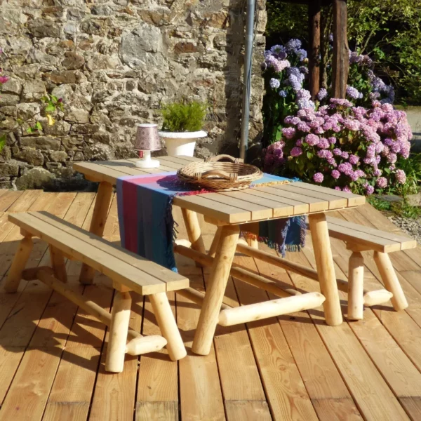 R1S table repas bois extérieur avec bancs