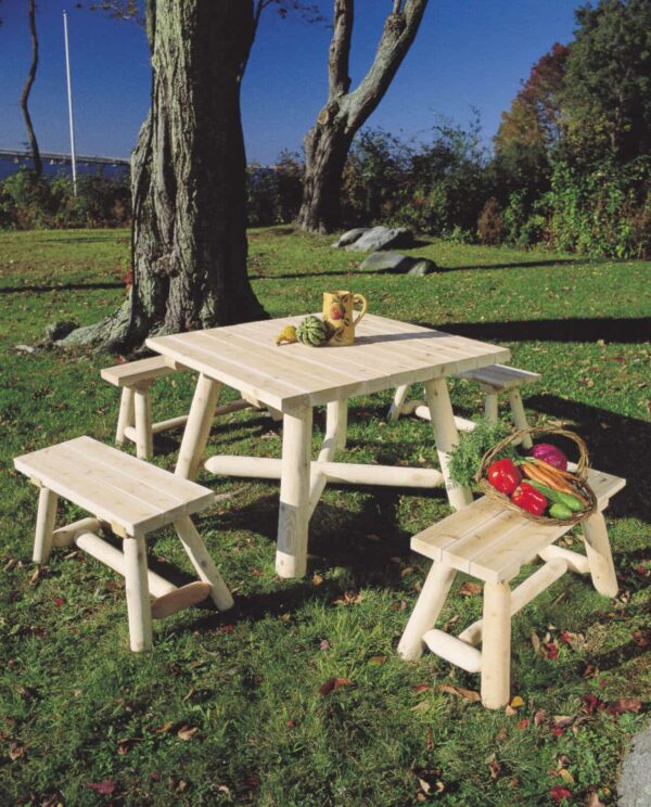 table chaise bois jardin