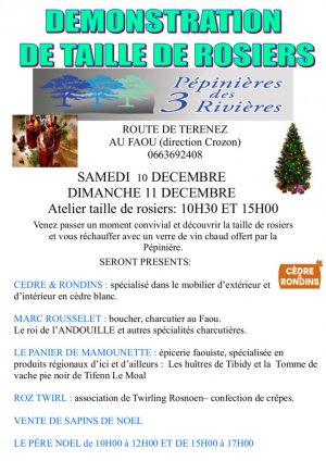 marché de noël pépinières du faou décembre 2016