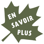 en savoir plus cèdre & rondins