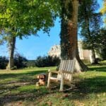 fauteuil a B5AKD bascule chateau chantilly