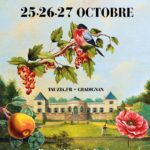 du vendredi 25 au dimanche 27 Octobre 2019