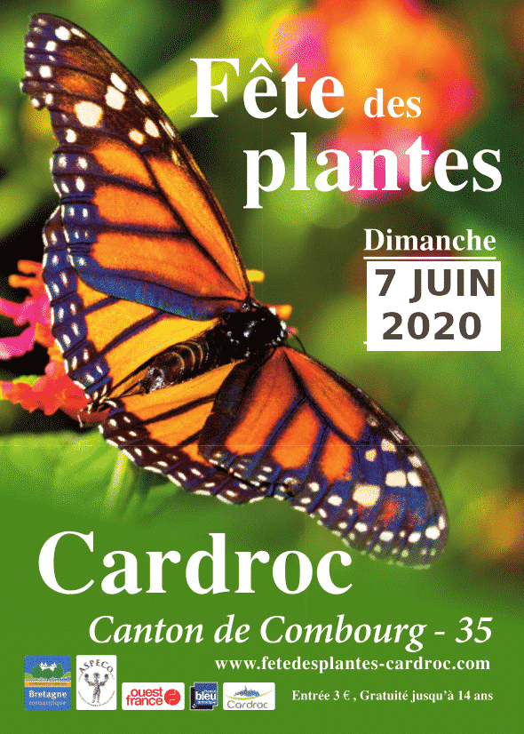 Dimanche 7 JUIN 2020