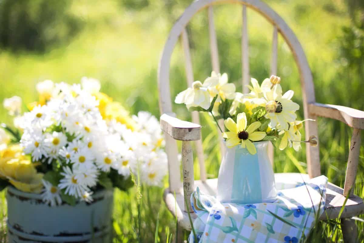 Arrange and decorate your garden in 5 steps