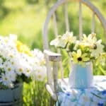 Arrange and decorate your garden in 5 steps