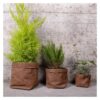 cache pots plantes deco planthav