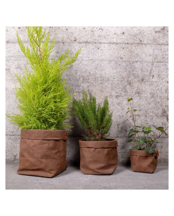 cache pots plantes deco planthav