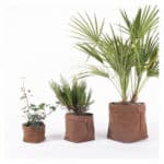 deco maison jardiniere plant hac