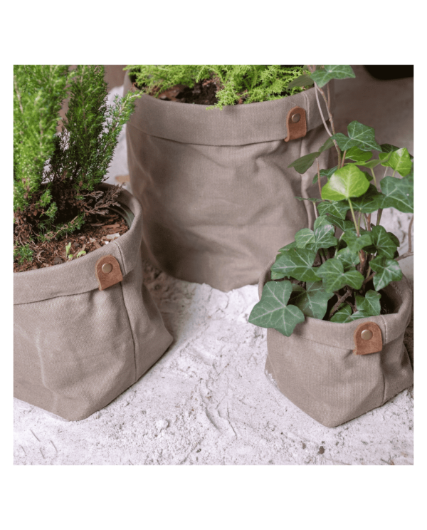 cache pot toile beige plantb