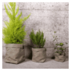 cache pot jardinage plantb