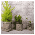 cache pot jardinage plantb