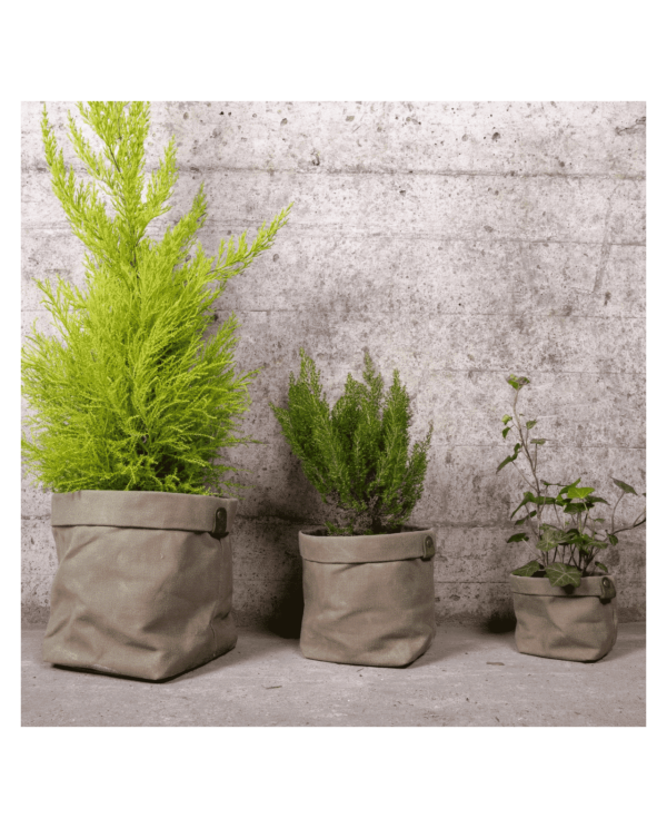 cache pot jardinage plantb