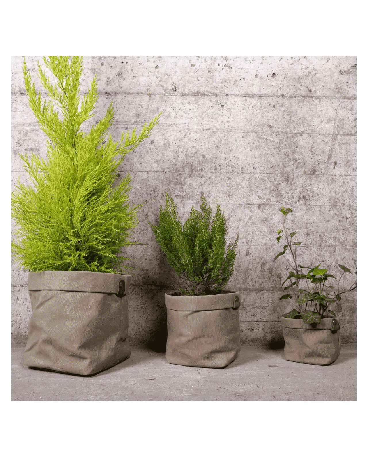 Cache-Pot Support Plantes Beige avec 3 Pieds en …