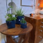 cache pot bleu plantes