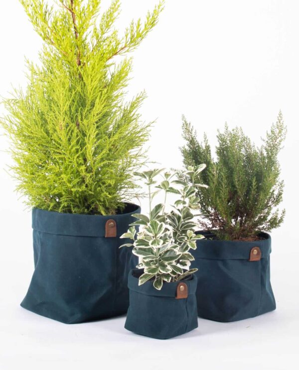 cache pot en toile bleu plantbo