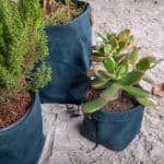 cache pot plante plantbo