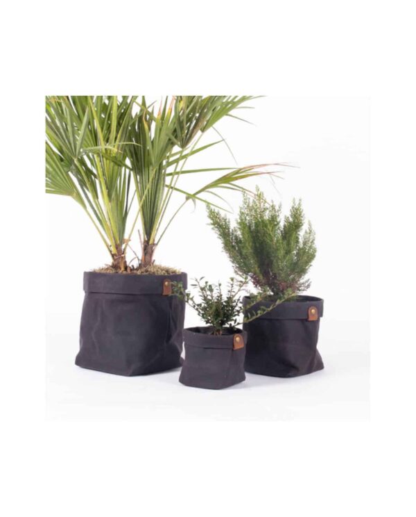 cache pot gris plantch