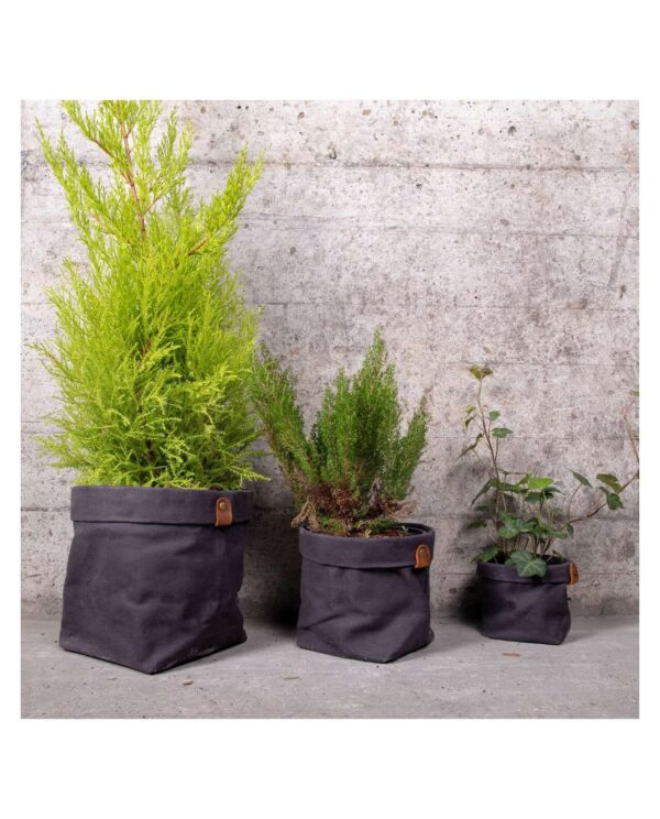 cache pots en toile charbon plantch