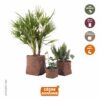 3 cache pots en toile imperméable marron foncé
