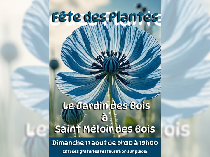 Le Jardin des Bois, Dimanche 11 août