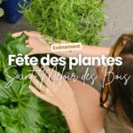 Fête des plantes à Saint-Méloir-des-Bois (22) : rendez-vous le 17 aout avec Cèdre & Rondins